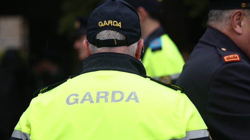 Concerns over staffing in An Garda Síochána; the rise of ‘free births’ in Ireland