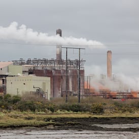 Russia sanctions having an impact, top Irish diplomat says amid Aughinish Alumina pressure