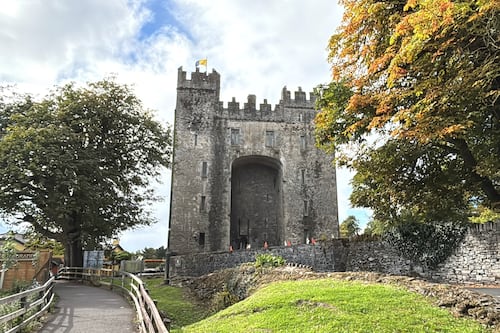 Plan for 58 homes in Bunratty rejected due to tourism impact concerns