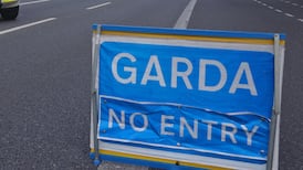 Man (20s) dies after car crash in Co Dublin