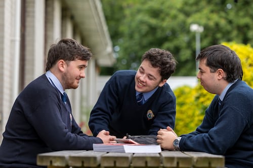 Leaving Cert maths, paper one: A song and dance about a bum note